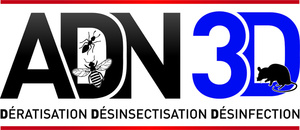 ADN 3D est une entreprise spécialisée dans la dératisation, la désinsectisation et le nettoyage de hottes dans les Yvelines : Montigny, Rambouillet, etc.